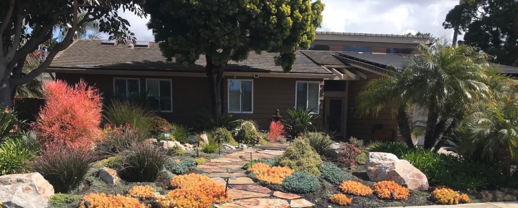 Stone walkway, succulents landscape Carlsbad