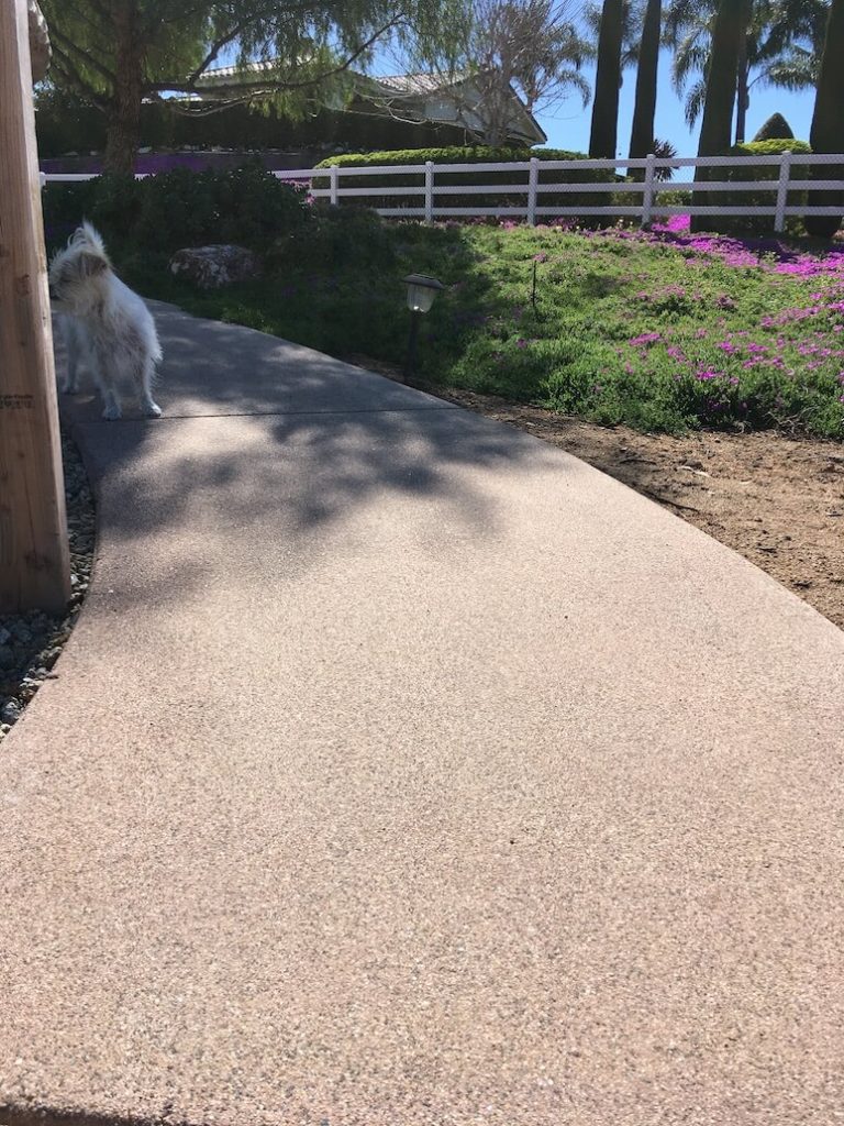 colored exposed aggregate walkway in Fallbrook - rose color